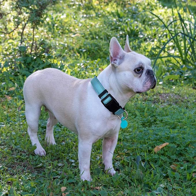 Ladoogo Reflective Dog Collar Padded with Soft Neoprene Breathable Adjustable Nylon Dog Collars for Small Medium Large Dogs (Small (Pack of 1), Blue Collar+Leash)
