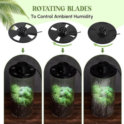 Maxdot Glass Plant Terrarium Kit with Light for Succulent, Moss, Miniature Gardening Landscape, Betta Fish Tank, Office Home Decoration, Plant Lovers Gifts (7.9 x 3.9 Inch)