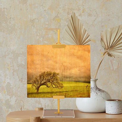 RattanView Adjustable Tabletop Easel Stand for Picture Frame up to 16.5" H Metal Gold Floating Picture Frame Stand Table Easels for Display for Signs Photos Art