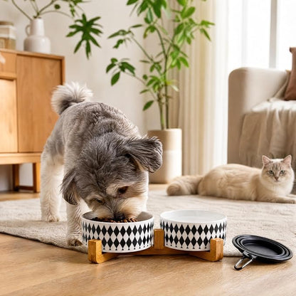 Petygooing Ceramic Dog Cat Bowl Set with Stand,Pet Food and Water Bowl,Small Dog Bowls Anti -Slip Set of 2 Cat Dishes Food Bowls Dish Small Size Pet (13.5OZ/5.1 in) Black Rhombus