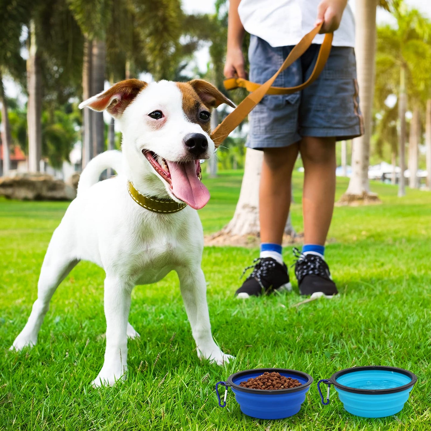 2-Pack Small Dog Travel Bowl, Collapsible Bowls for Dogs, Foldable Cat Water Bowl, Portable Pet Feeding Watering Traveling Dish (Black & Orange)