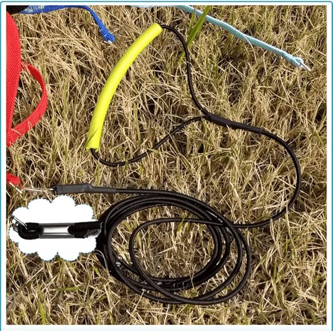 Pet Parrot Bird Harness Leash Adjustable Bird Flying Harness Traction Rope with Cute Wing for Parrots Pigeons Budgerigar Lovebird Cockatiel Mynah Outdoor Training Toy (M, Purple)