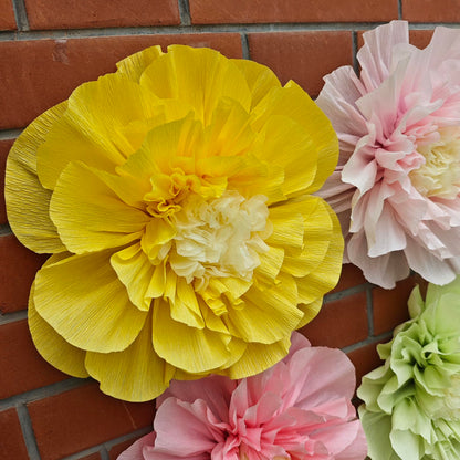 Mybbshower Crepe Paper Flower for Wall Psprt Pom Pom Decor Girls Birthday Party Backdrop Baby Shower Nursery Room Decoration Pack of 4 (Blush Yellow Mint)
