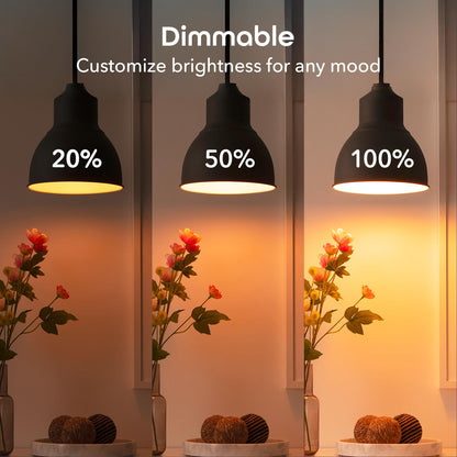 Geeni Smart LED Light Bulb 3 Pack A19 WiFi Dimmable Soft White 800 Lumens, Works with Alexa & Google Assistant, Voice Control, Energy Efficient Smart Bulbs