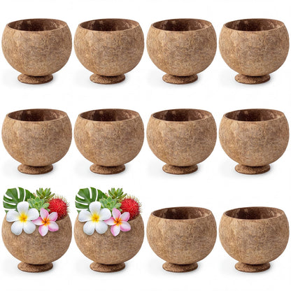 Hushee 12 Pcs Natural Coconut Shell Cups for Party Real Coconut Bowls for Hawaiian Luau Party Supplies, Tropical Tiki Decorations & Candy Buffet Favor Holders