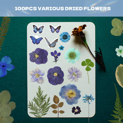 CONVELIFE Pressed Flowers112 Pcs , Blue Natural Dried Pressed Flowers with 10Butterfly Stickers, Pressed Leaves kit for Scrapbook Supplies Card Making Resin Jewelry Making Soap Candle DIY Crafts