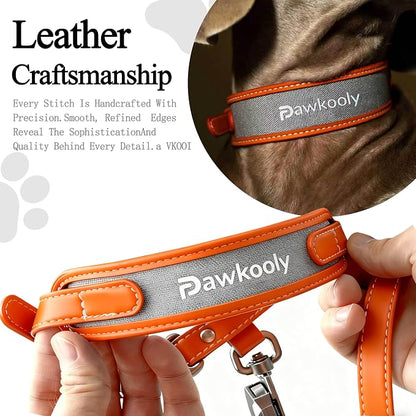 MagEase Dog Collar with 4FT Leash | Adjustable | Anti-Wrinkle, Bite & Stain-Resistant Leather | Soft & Skin-Friendly | 450LB Escape-Proof Magnetic Buckle (Orange, Large)