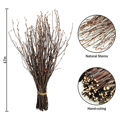 Ruidazon 200 Pcs Real Dried Birch Branches, 17 Inch Natural Birch Twigs Tall Birch Tree Sticks for Decorative Vases, Crafts, DIY Floral Arrangements Wreath Wedding Centerpiece Home Decor