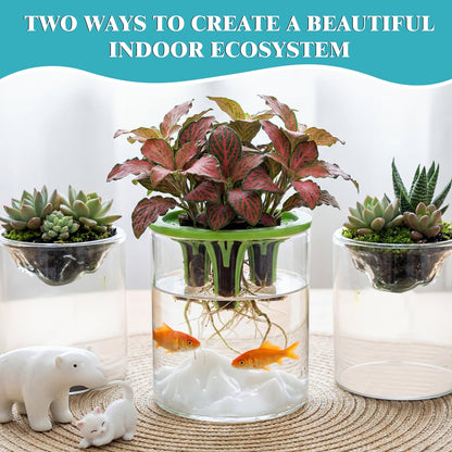 Ferrochef 3 Sets Hydroponic Planter Pot Kit Plant Propagation Station Vase Terrarium Glass Planter Indoor Self Watering Planters Herb Garden Kit for Seed Starting Root Monitoring Garden