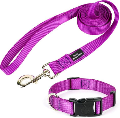 Country Brook Petz - Everyday Nylon Dog Collar and Leash - 10+ Cool Colors (1 Inch, Large, Bright Purple)