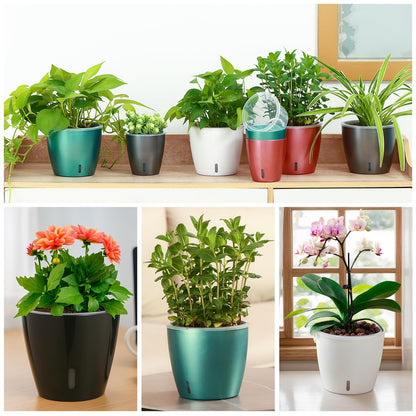 KvyusFlourish Self Watering Pots for Indoor Plants, 6-Pack 6.7'' Self Watering Planter with Drainage Holes, Small African Violet Pots with Water Indicator, Clear Wick Orchid Pot, Grey Gold