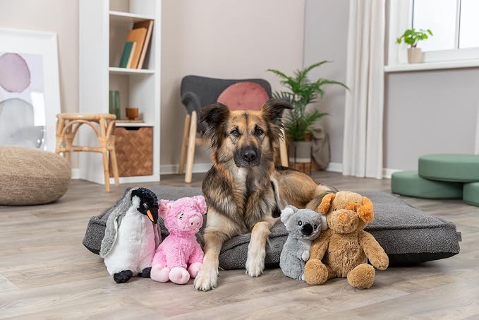 TRIXIE Be Eco Enno The Dog Plush Dog Toy for All Dogs, 16" Fun and Cuddly No Sound Dog Toy, 98% Recycle Material