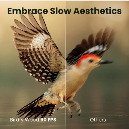 Birdfy Smart Bird Feeder with Camera Solar Powered, Slow-Motion Video & Night Insight, AI Identify 6000+ Species Lifetime Free, Ideal for Outdoors Bird Watching & Gifts for BirdLovers, Wood