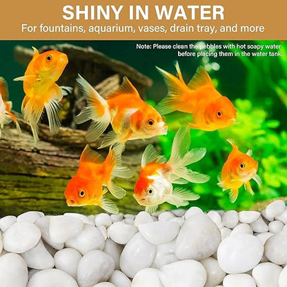 NUPICK 12lb White River Rocks for Plants Indoor, 2-3Inch White Pebbles for Vases Fillers, Decorative Gravel for Fish Tank, Natural Polished Stones for Succulent, Bonsai, Landscaping, Bird Baths