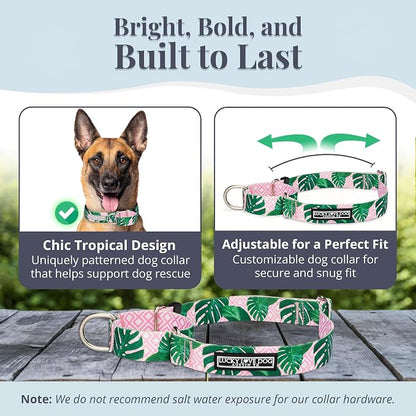 Lucky Love Dog Martingale Dog Collar - Adjustable, No-Slip, Comfortable, Durable, Soft Webbing & Stylish Patterned Collar for Male and Female Dogs Ideal for Training & Walking - Laguna, Large
