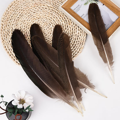 MehelloFeather Peacock Wing 11-14 Inch Natural Feather 6 Pcs Crafts for DIY Home Decoration Wedding Centerpieces Party Supplies