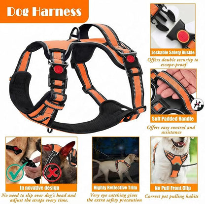 LOBEVE No Pull Dog Harness, Collar & Leash Set | Includes Dog Seat Belt, Collapsible Bowls & Poop Bag Dispenser. Ideal for Training, Walking, Hiking. Fits Small to Large Dogs(Orange-XL)