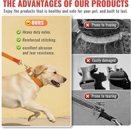 Dog Collar and Leash Set with Metal Quick Release Buckle, Adjustable, Breathable Nylon, Durable, Soft and Comfortable, No Pull for Walking and Training, Orange, XL (16.9"-26")