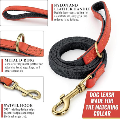 Dog Collar and Leash Set with Metal Quick Release Buckle, Adjustable, Breathable Nylon, Durable, Soft and Comfortable, No Pull for Walking and Training, Blue-Black, M (12.6"-19.6")
