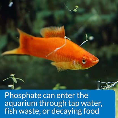 API Phosphate Test Kit For Freshwater And Saltwater, 64 OUNCES