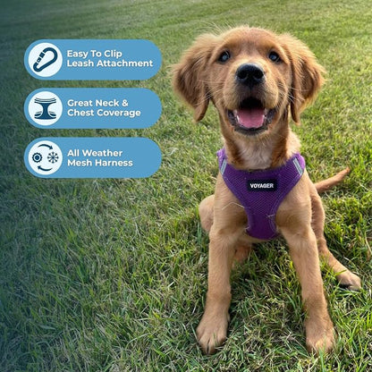 Best Pet Supplies Voyager Step-in Air All Weather Mesh Harness and Reflective Dog 5ft Leash Combo with Neoprene Handle, for Small, Medium and Large Breed Puppies - Purple, X-Large
