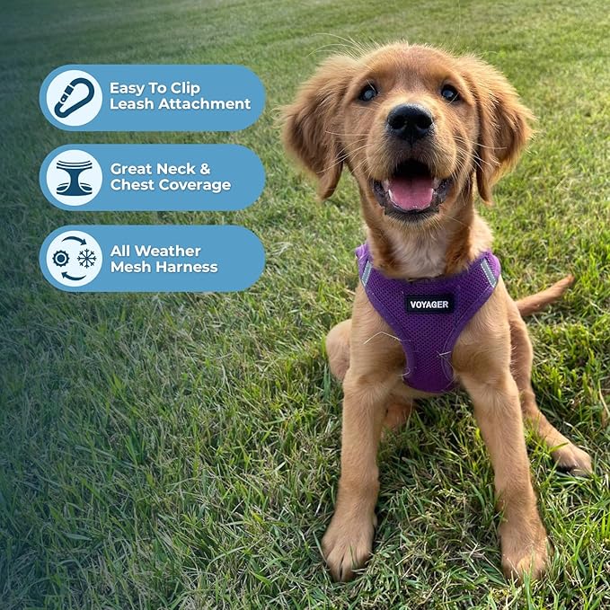 Best Pet Supplies Voyager Step-in Air All Weather Mesh Harness and Reflective Dog 5ft Leash Combo with Neoprene Handle, for Small, Medium and Large Breed Puppies - Set (Purple), XXX-Small