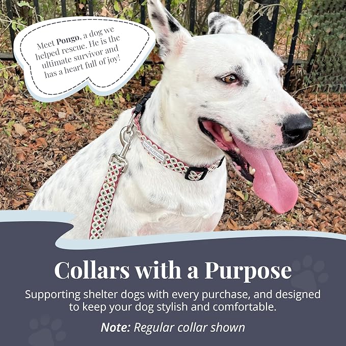 Lucky Love Dog Martingale Dog Collar - Adjustable, No-Slip, Durable, & Soft Webbing Collar for Male and Female Dogs Ideal for Training & Walking - in Unique Pongo Pattern, Medium Size