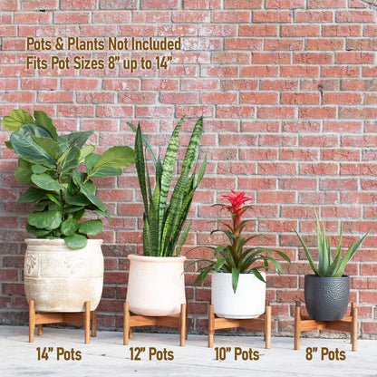 Macaw on Kapok Wood Plant Stand - Fits 8 10 12 to 14 inch Plant Pot - Acacia Solid Wood - Planter Stands for Indoor Plants - Outdoor Planter Large - Modern Plant Holder - Mid Century Plant Stand - Flower Pot Stand
