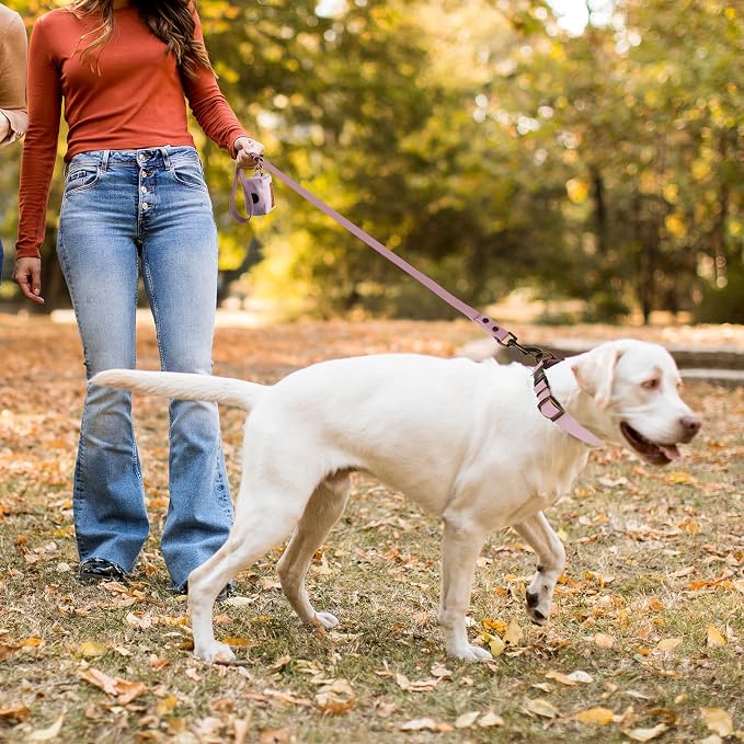 Wisedog Waterproof Dog Collar and Leash Set, L, Pale Pinkish Purple | Adjustable Puppy Collar, Cute Tag, 5FT Leash, Includes Poop Bag, For Small Medium Large Dogs