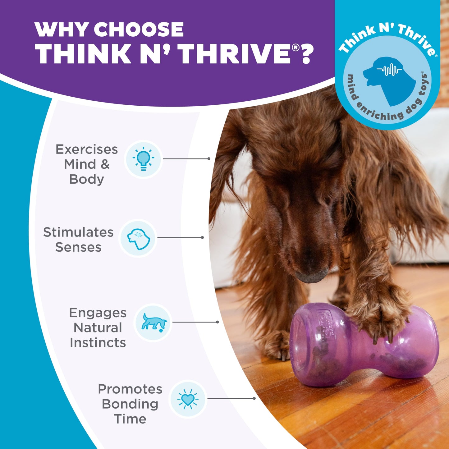 Outward Hound by Planet Dog Double Snoop Interactive Treat Dispensing Dog Toy, Purple