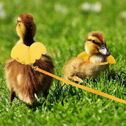 KAMA BRIDAL Duck Walking Harness and Leash Chicken Duck Outdoor Training Rope Adjustable Rope for Pet Poultry Hen Cock (M, Yellow)