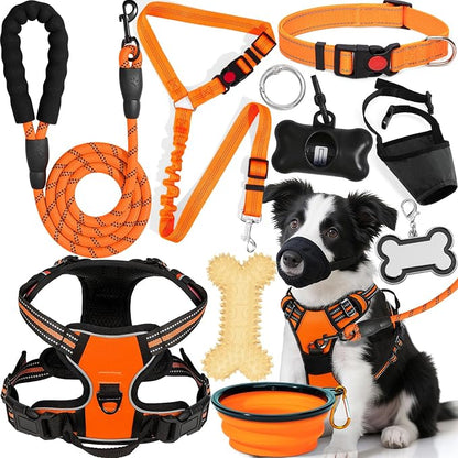 No Pull Dog Harness Adjustable Collar & Leash Set - Dog Halter Harnesses Collapsible Bowls & Poop Bag Dispenser Muzzle ID Tags Toys Fits Small Medium Large Dogs (Orange-M)