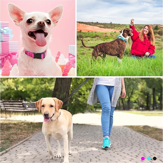 Soft Neoprene Padded Dog Collar and Leash Set for Small Medium Large Dogs, Reflective Durable Nylon Dog Collar with 5ft Leash Easy for Walking, Teal,Neck fit 12.5-19.5’’