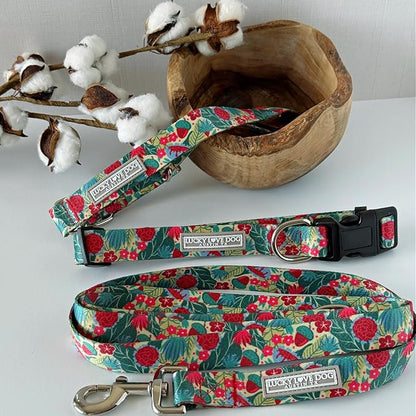 Lucky Love Dog - Easy Click Buckle Dog Collar with Leash Set Combo, Durable & Comfortable for Male & Female Dogs, Pet Collar for Small Dogs, Secure Fit - Ginny Combo, XS