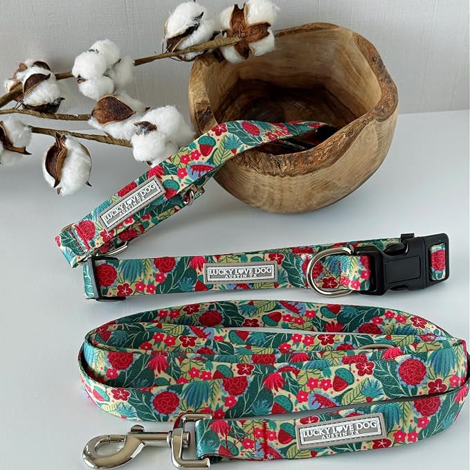 Lucky Love Dog - Easy Click Buckle Dog Collar with Leash Set Combo, Durable & Comfortable for Male & Female Dogs, Pet Collar for Large Dogs, Secure Fit - Ginny Combo, Large