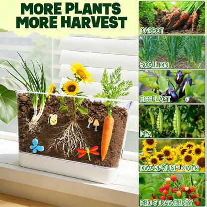 Large Root Viewer Kit for Kids STEM Science Toy Growing Kits for Ages 4, 5, 6, 7, 8, 9,10 Birthday Gifts for Boys Girls, DIY Set, Includes Strawberry, Eggplant, Dwarf Sunflower, Carrot, Pea, Scallion