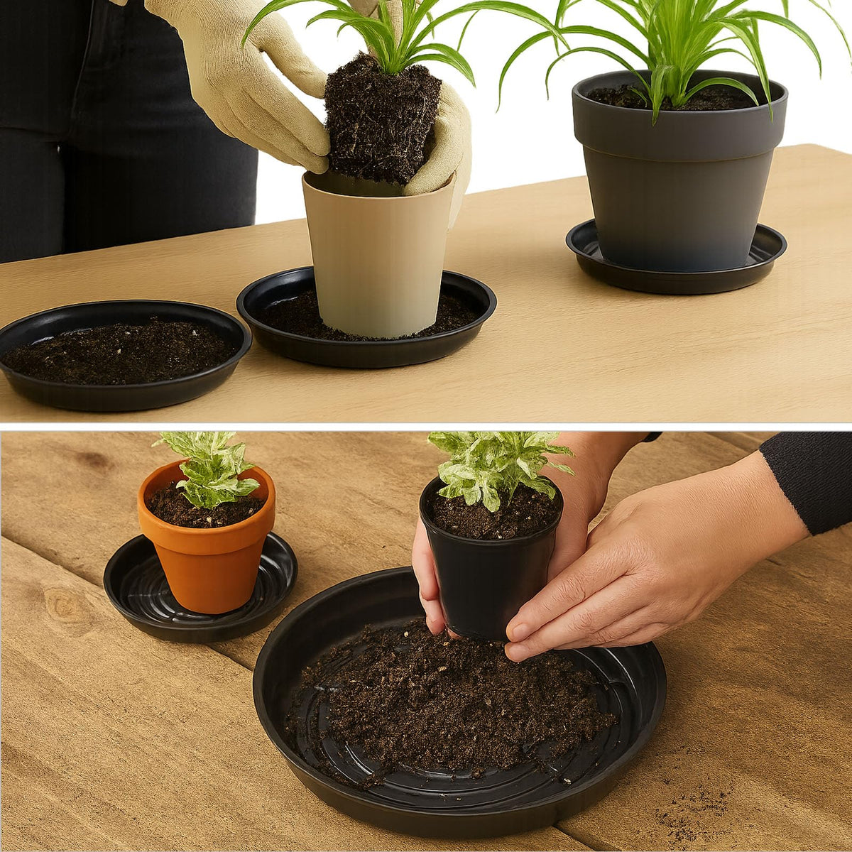 30 Packs 4 Inches Small Plant Saucers for Indoor Outdoor Use Heavy Duty Plastic Plant Plate Dish for Planter Bulk Round Flower Pot Drip Trays to Catch Water 4 to 20 Inch, Black