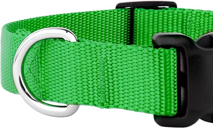 Country Brook Petz - Everyday Nylon Dog Collar and Leash - 10+ Cool Colors (3/8 Inch, 2XS, Hot Lime Green)