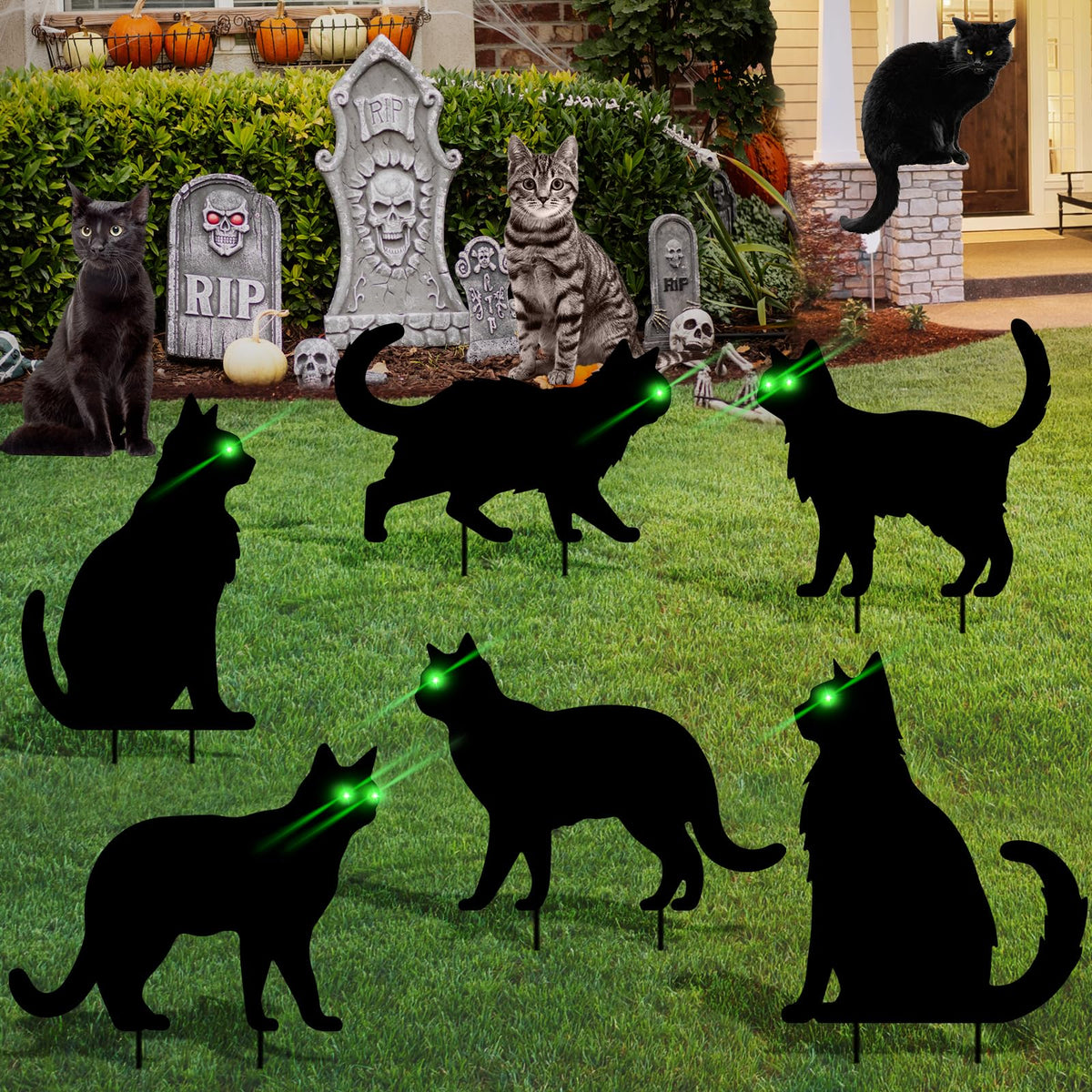 sewrung 6 Pcs Black Cat Halloween Decorations Plastic Yard Signs with Stakes,Halloween Decorations Outdoor, Scary Silhouette with Glow in Dark Eyes for Outdoor Yard Lawn Garden Halloween Décor