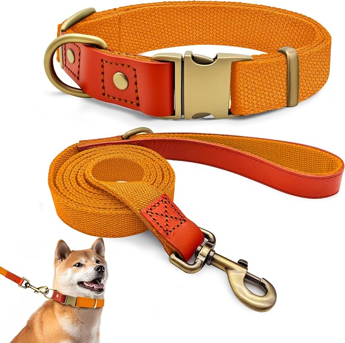 Dog Collar and Leash Set with Metal Quick Release Buckle, Adjustable, Breathable Nylon, Durable, Soft and Comfortable, No Pull for Walking and Training, Orange, L (14.9"-22.8")