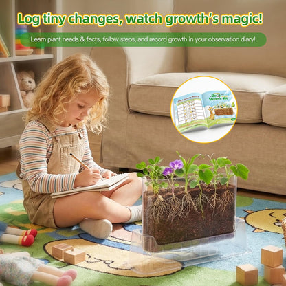 TitaniX Root Viewer Kit for Kids with 6 Seed Varieties, STEM Science Toy & Craft Growing Kits for Boys & Girls, Grow Your Own Plant for Ages 4-8 Birthday Gifts for Boy,4, 5, 6, 7, 8, Year Old
