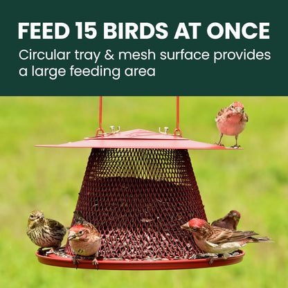 Perky-Pet Red Cardinal Wild Bird Feeder - 2.5 lb Seed Capacity, Holds Up to 15 Birds Simultaneously, Metal Hanging Feeder for Outdoors, Collapsible Mesh Design, Built-In Hook & Circular Tray, C00322