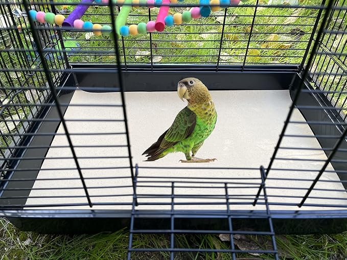 Gravel Paper for Bird Cage,BirdCage Liner Papers Cuttable Gravel Liner Sea Sand Paper Pet Animal Cages Cushion Great for Hard-Billed Birds Parrot | Clean Safe & Aids in Digestion (30 PCS - 17" x 11")