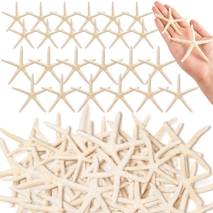 24 Pcs Starfish for Crafts, 2'' to 4'' Star Fish Shells Decorations, Natural Starfish Decor Bulk for Beach Theme DIY Crafts Christmas Tree Ornaments