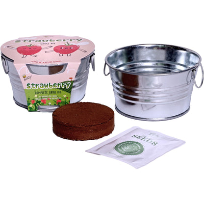 BUZZY Seeds Mini Basin Gardening Kit with Strawberry Seeds for Planting, Flowering Fruit Starter Set, Indoor Plants, DIY Plant Project, Party Favor