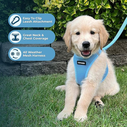 Best Pet Supplies Voyager Step-in Air All Weather Mesh Harness and Reflective Dog 5ft Leash Combo with Neoprene Handle, for Small, Medium and Large Breed Puppies - Baby Blue, Medium