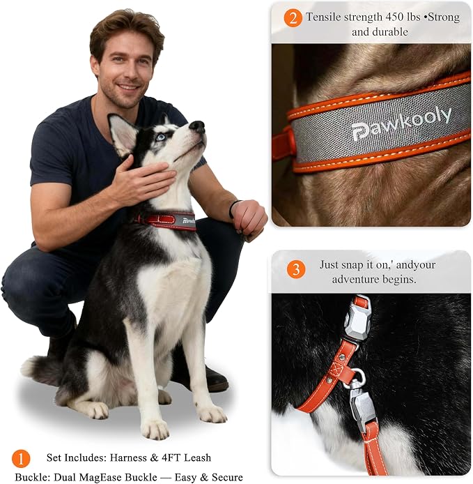 MagEase Dog Collar with 4FT Leash | Adjustable | Anti-Wrinkle, Bite & Stain-Resistant Leather | Soft & Skin-Friendly | 450LB Escape-Proof Magnetic Buckle (Orange, Medium)
