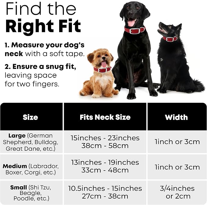 Regal Dog Products Large Red Dog Collar with Heavy Duty Double Buckle & D Ring | Vinyl Coated, Custom Fit, Adjustable Biothane Dog Collar Chew Resistant Waterproof Collar for Dogs