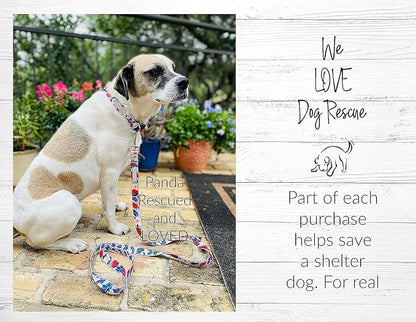 Lucky Love Dog Martingale Collar and Leash Set, Premium Fun Girl No Slip Collars, Strawberry Martingale Dog Collar and Leash Set, Great for Whippets, Greyhounds, and More (Sweet Berry, Medium - Combo)