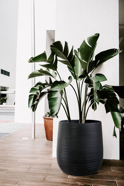 Olly & Rose Extra Large Plant Pot Patterned - Black Garden Planter - XL Flower Pot - H 50cm D45cm + H40cm D38cm
